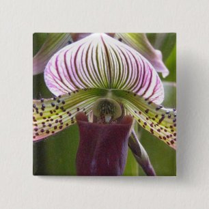 Den unika orchiden knäppas knapp