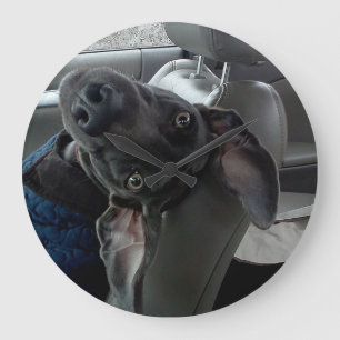 Den uppochnervända Weimaraner väggen tar tid på Stor Klocka