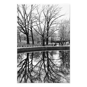 Den ursnygga vintern landskap i Central Park Fototryck