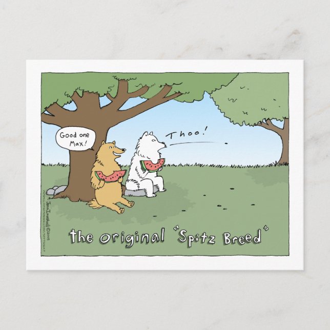 Den ursprungliga Tecknaden "Spitz-ras" Vykort (Framsida)