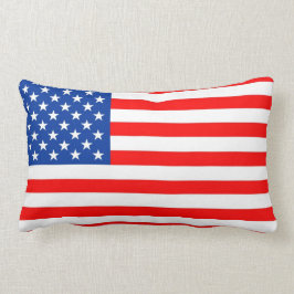 den USA USA landflagga kudder Lumbarkudde
