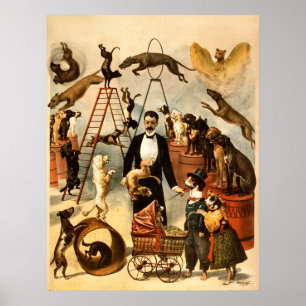 Den utbildade hunden agerar 1899 - vintagecirkusen poster