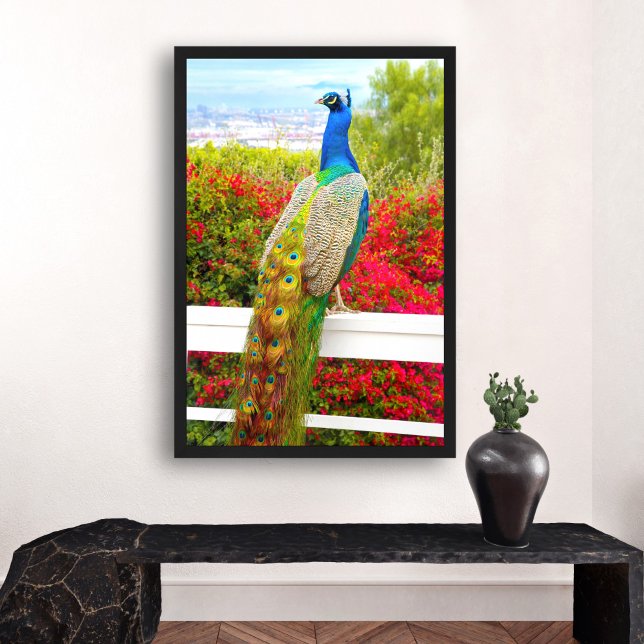 Den vackra blå Grönten Peacock Photo Snyggt Modern Poster (Skapare uppladdad)