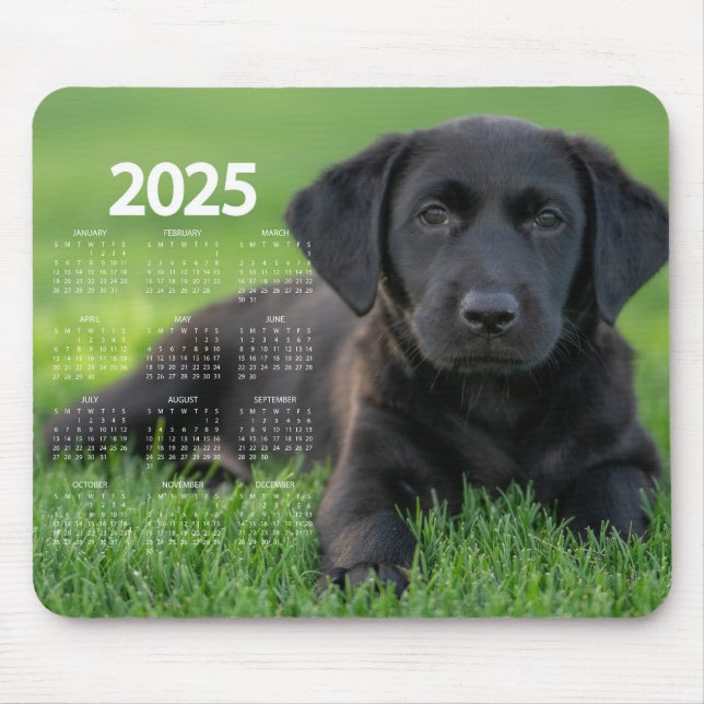 Den vackra Black Labrador 2025-Hund Musmatta (Framsidan)