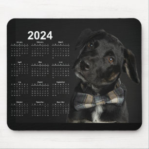 Den vackra Black Labrador Retriever 2024-kalendern Musmatta