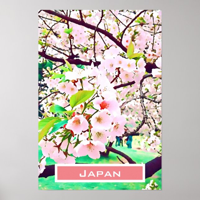 Den vackra blommarna med körsbär i rosa Japan Poster (Framsidan)