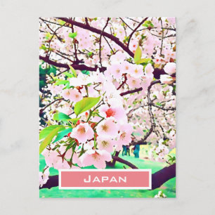 Den vackra blommarna med körsbär i rosa Japan Vykort