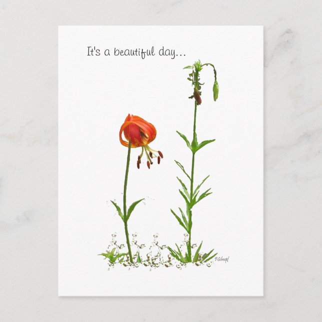 Den vackra dagen... vykort (Framsida)