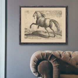 Den vackra Eleganten för den spanska hallion Poster