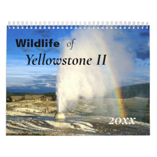 Den vackra Jellowstone Wildlife Calendar Kalender