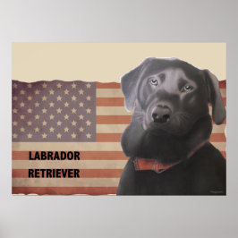 Den vackra Labrador Retriever American Flagga Post Poster
