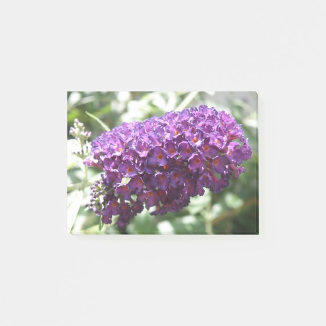Den vackra Lilan Buddleia Flowers Post-it Block (Framsida)
