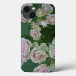 Den vackra ljusa rosa trädgården ro