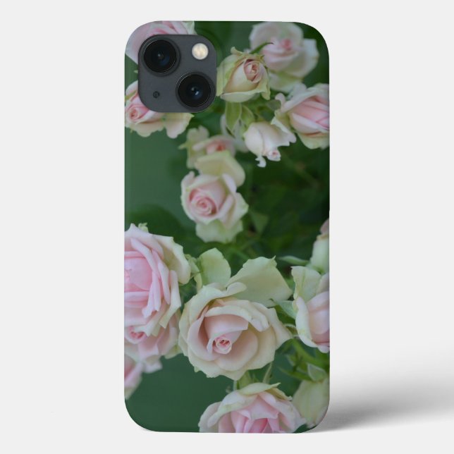 Den vackra ljusa rosa trädgården ro (Baksida)