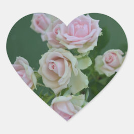 Den vackra ljusa rosa trädgården ro hjärtformat klistermärke