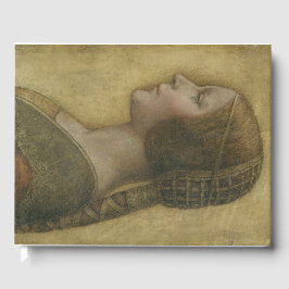 Den vackra prinsessan (av Leonardo da Vinci) Gästböcker