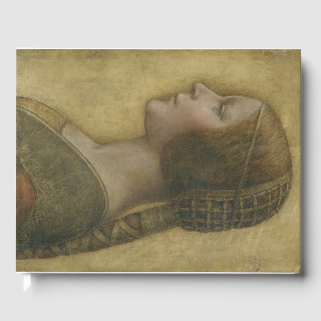 Den vackra prinsessan (av Leonardo da Vinci) Gästböcker (Framsida)