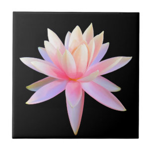 Den vackra Rosan Lily Lotus Art Coola Unik Kakelplatta