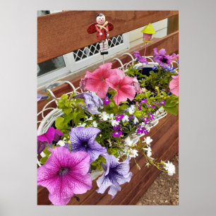Den vackra Rosan Petunia Fairy Blomsterträdgård Po Poster