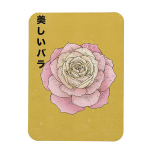 Den vackra rosen magnet