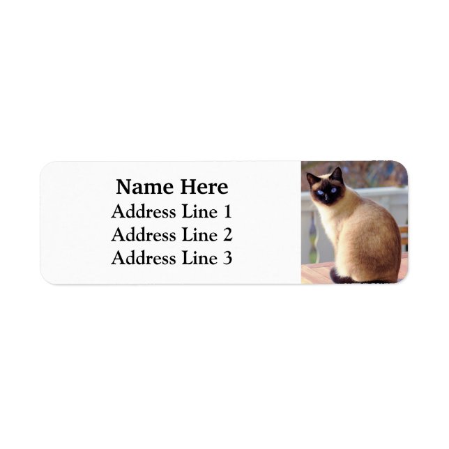 Den vackra siamesiska Cat Blue Ögon Returadress Etikett (Framsidan)