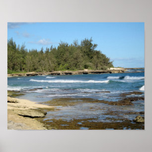 Den vackra sköldpaddsbukten i Oahu Hawaii Poster