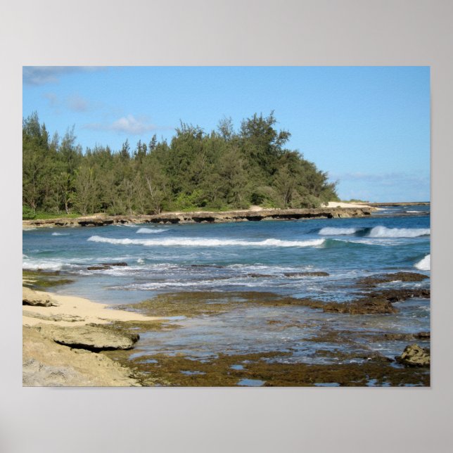 Den vackra sköldpaddsbukten i Oahu Hawaii Poster (Framsidan)