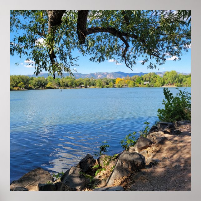 Den vackra sommardagen City Park Fort Collins CO Poster (Framsidan)