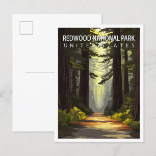 Den vackra Ställe Redwood National Park USA Travel Vykort