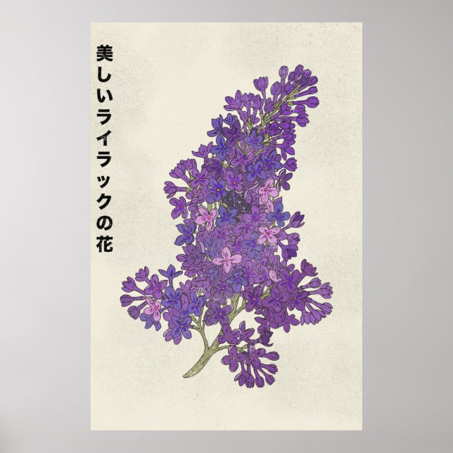 Den vackra syrenblomman poster (Framsidan)