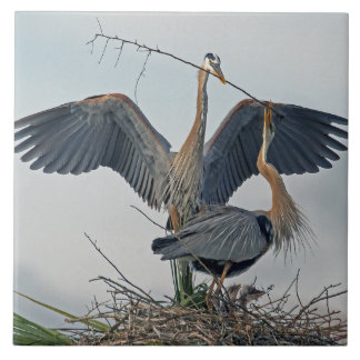Den vackra Underbara familjen Blå Heron (foto) Kakelplatta