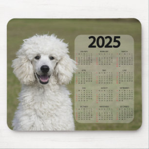 Den vackra vitboken Pudel 2025 Hund Musmatta