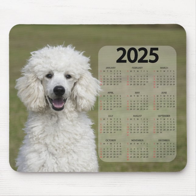 Den vackra vitboken Pudel 2025 Hund Musmatta (Framsidan)