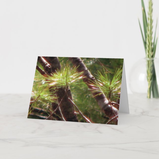 Den väckte skogen kort (Framsida)