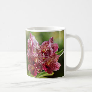 Den Vanda orchiden samla i en klunga Kaffemugg
