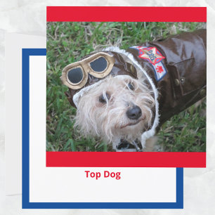 Den vanligaste Hund i Aviator Costume Flate Note C Tack Kort