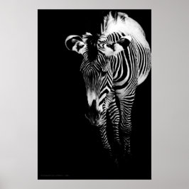 Den vanligaste utskriften poster