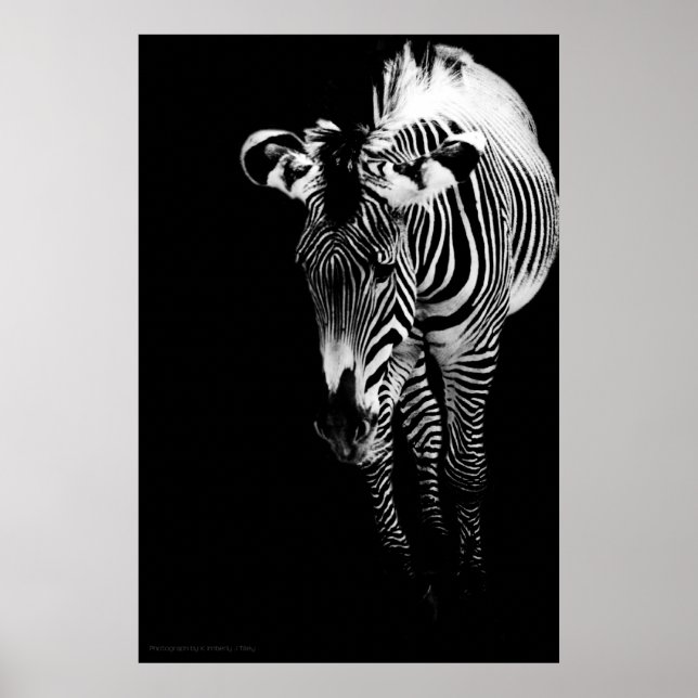 Den vanligaste utskriften poster (Framsidan)