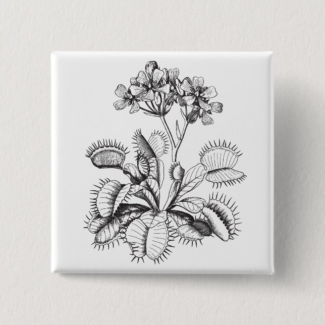 Den Venus flytrapen klämmer fast Knapp (Framsida)