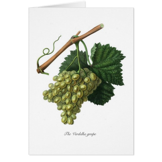 Den Verdelho druvan Hälsningskort (Framsidan)