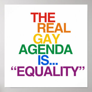 DEN VERKLIGA GAY AGENDA POSTER