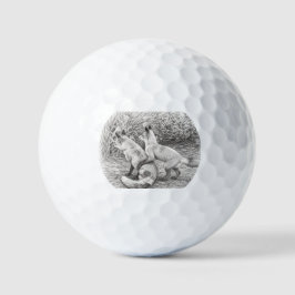 Den viskade färdiga rävskissens golfboll
