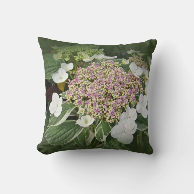 Den vit- och rosaSnöre-Locket vanlig hortensia Kudde (Framsida)
