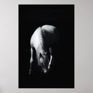 Den vita hästen poster