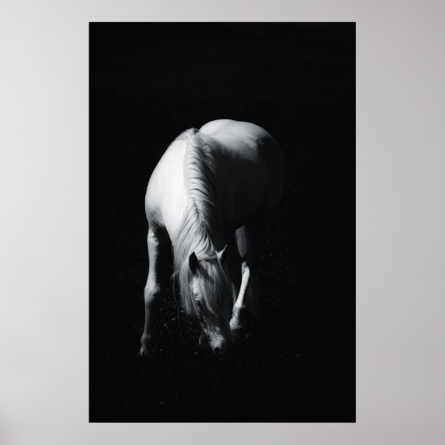 Den vita hästen poster (Framsidan)