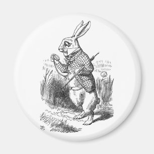 Den vita kaninen med Watch Magnet