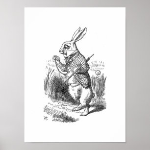 Den vita kaninen poster