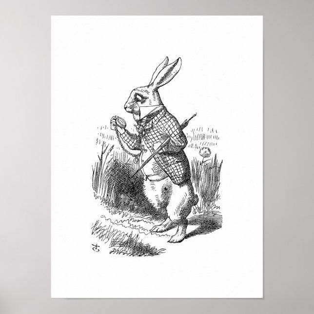 Den vita kaninen poster (Framsidan)