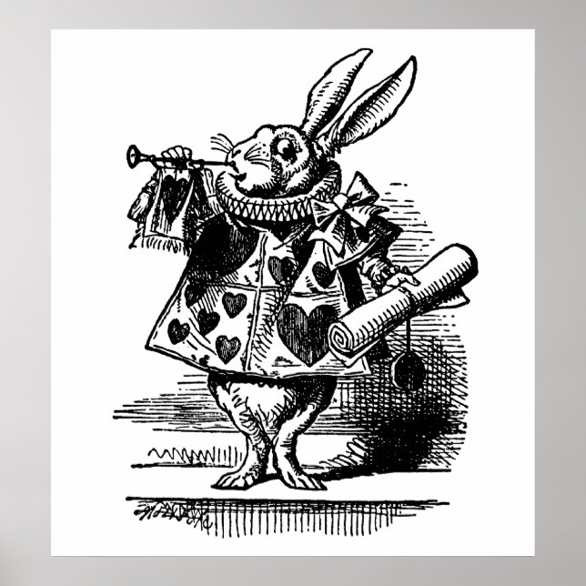 Den vita kaninen poster (Framsidan)