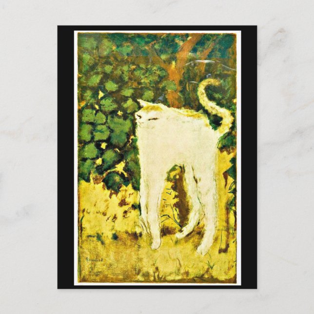 Den vita kitten vykort (Framsida)